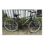 Raliegh Altare Mountain Bike